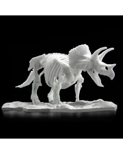 Dinosaur Model Kit Limex Skeleton Triceratops - Official Product Image 1