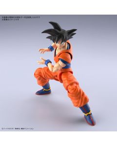 Figure-rise Standard Son Goku New Spec ver. - Prototype Image 1