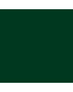 N036 Acrysion (10ml) IJN Green (Nakajima) (Semi-Gloss) - Color Image