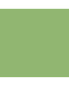 N050 Acrysion (10ml) Lime Green (Gloss) - Color Image