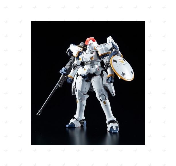 1/100 MG Tallgeese I Endless Waltz ver. Special Coating ver.