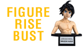 Figure-rise Bust